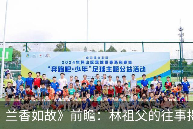 兰香如故》前瞻：林祖父的往事揭示与沈嘉兰的渊源，林锦岐与许兰香共谱新篇