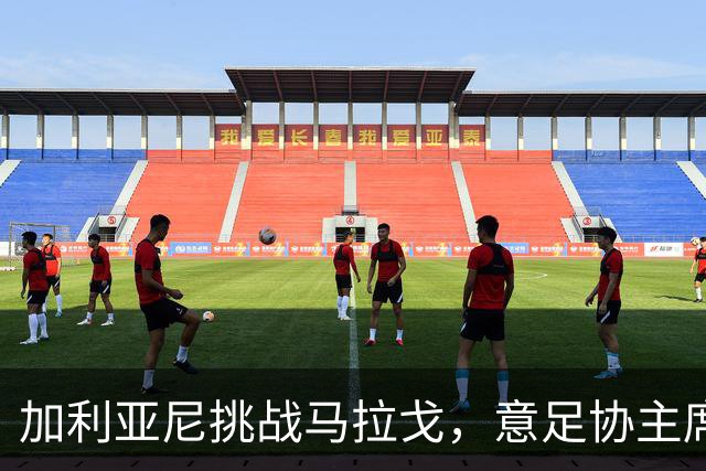 加利亚尼挑战马拉戈，意足协主席竞选形势严峻